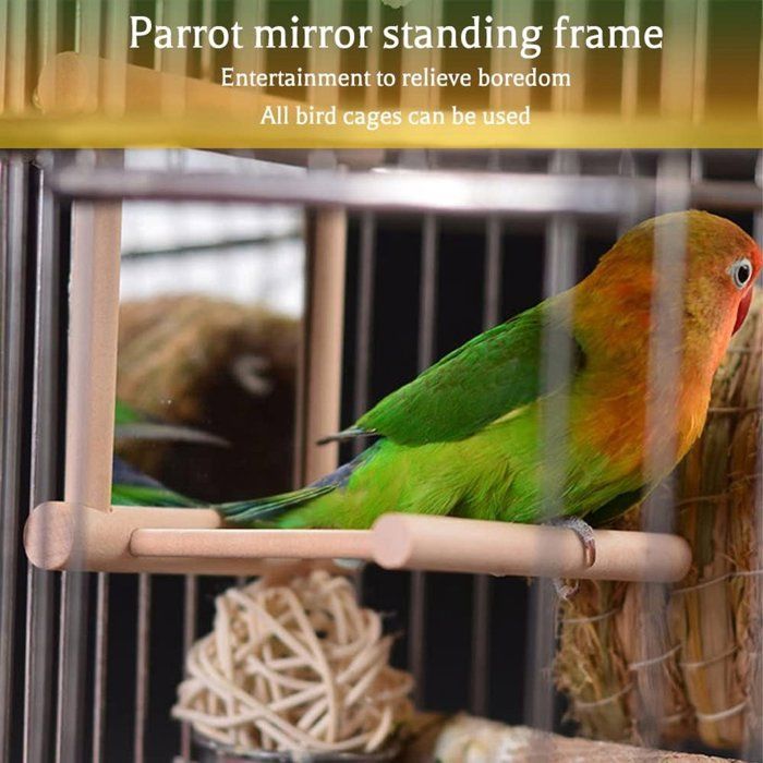 Perchoir miroir pour oiseaux, jouet en bois pour perruches avec miroir, perchoir pour perroquets, pigeons, canaris 10 x 10 x 10 cm