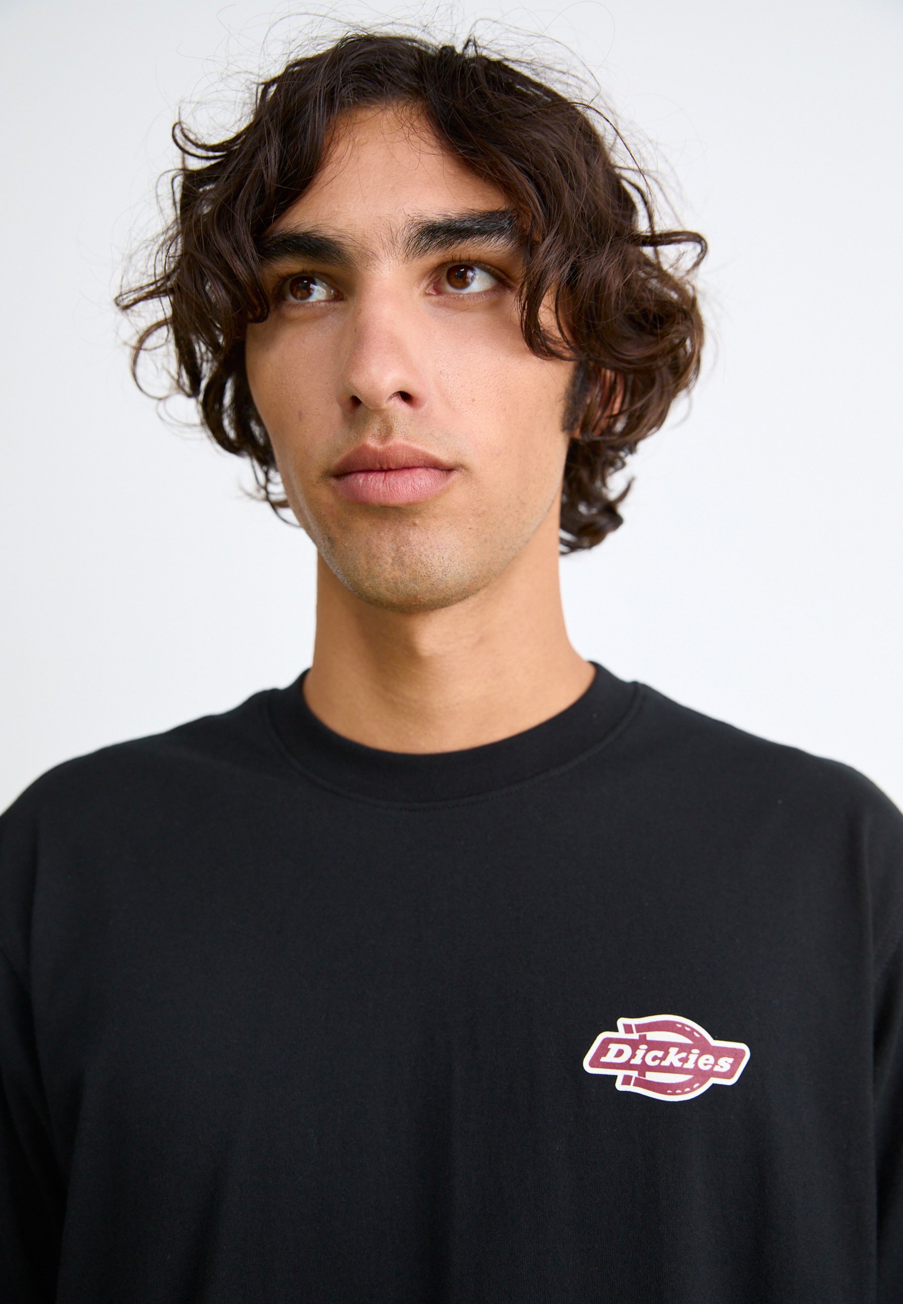 Camisetas estampadas Dickies