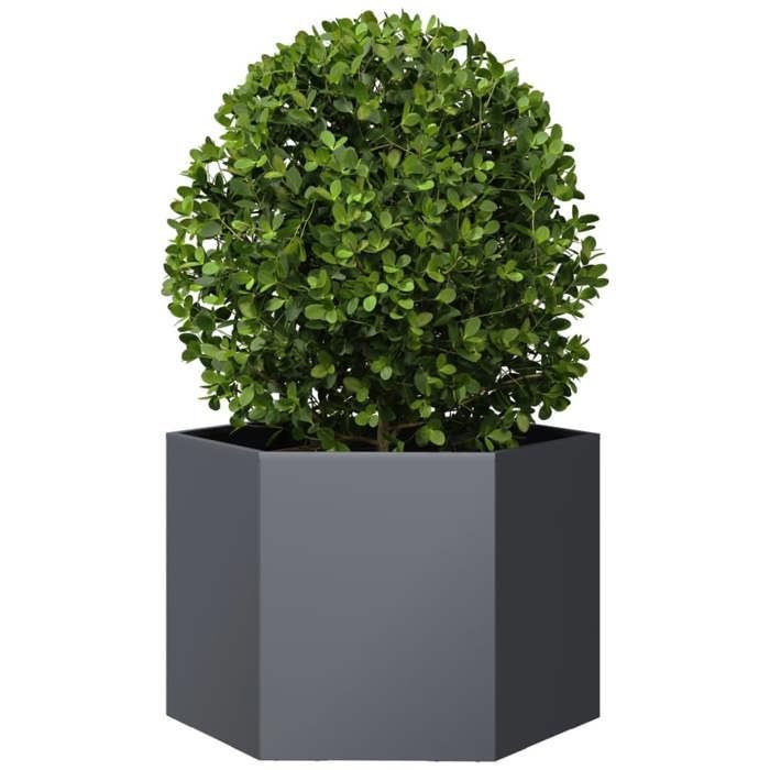 vidaXL Maceta hexagonal antracita de acero de 69x60x45 cm, maceta para flores, maceta para patio, maceta para jardín, 851124