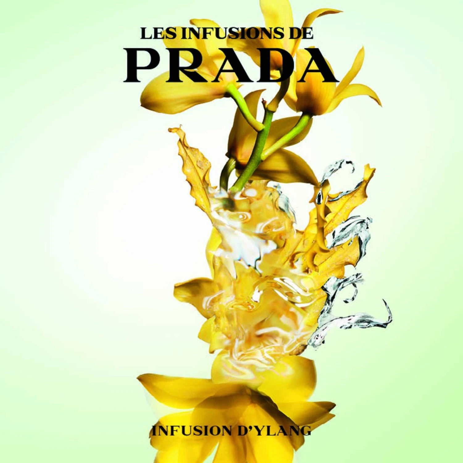 Prada Infusion d'Ylang