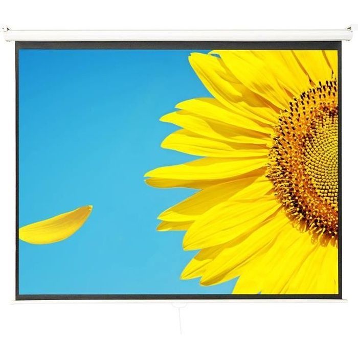 Pantalla de proyección de 105 pulgadas - TODECO - Enrollable manualmente - Montaje en pared o techo - Compatible con 3D y HD