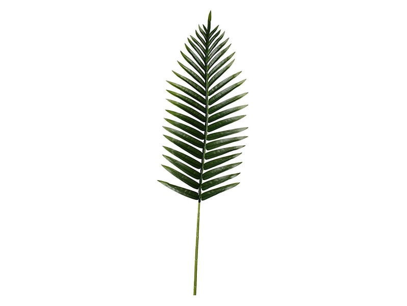 Palma gałązka 100 cm