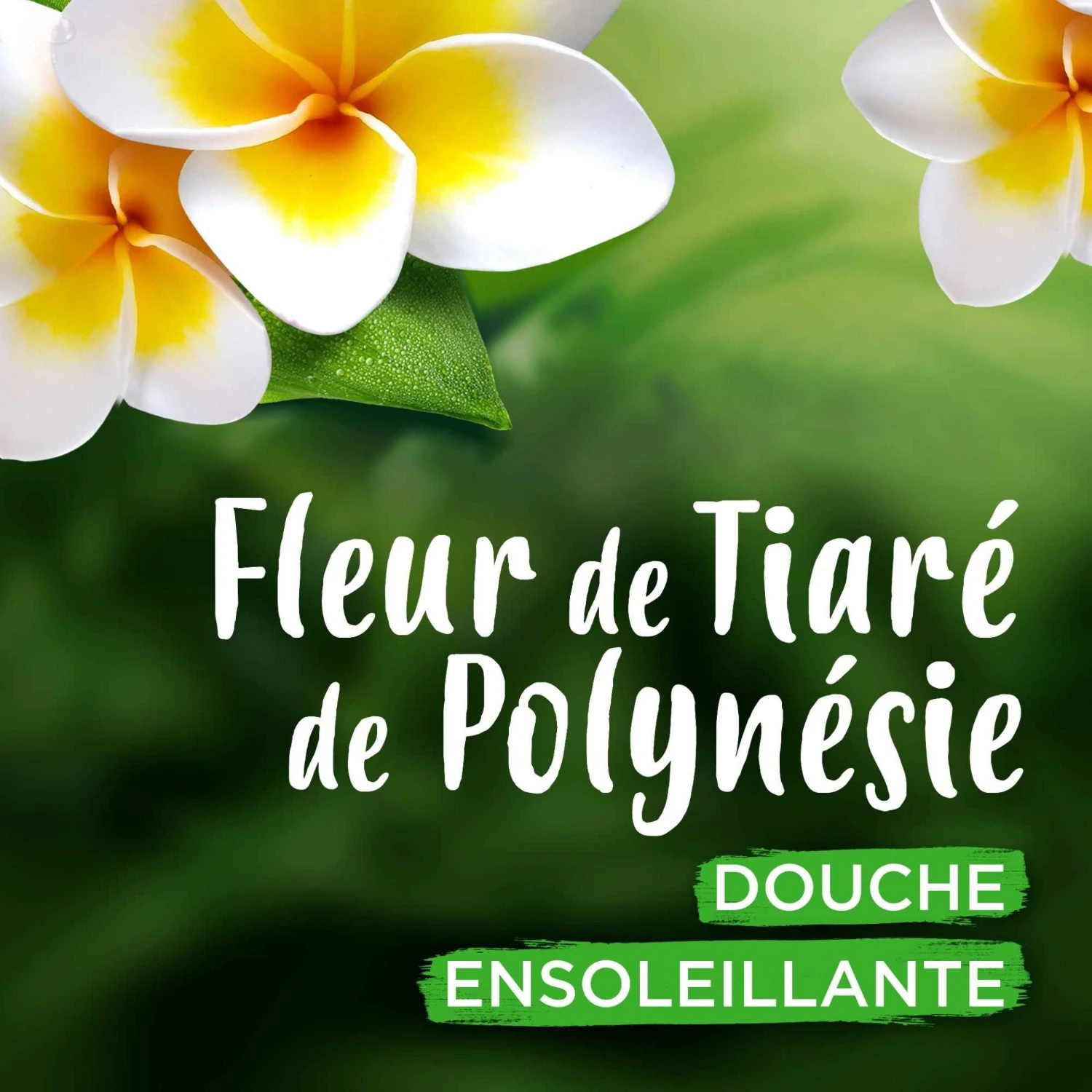 Ushuaïa Douche Certifiée Bio Fleurs de Tiaré de Polynésie