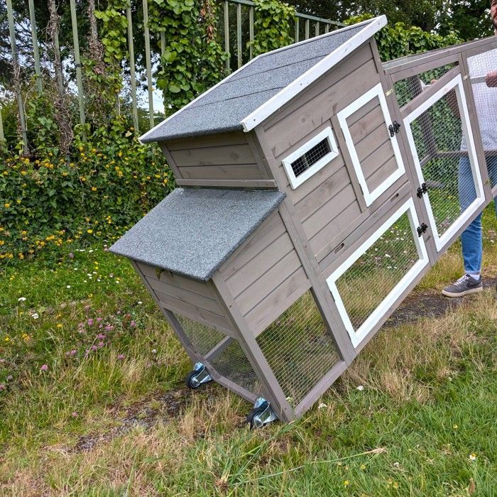 Poulailler mobile Sunny toit shingle et polycarbonate jusqu'à 6 poules Gris