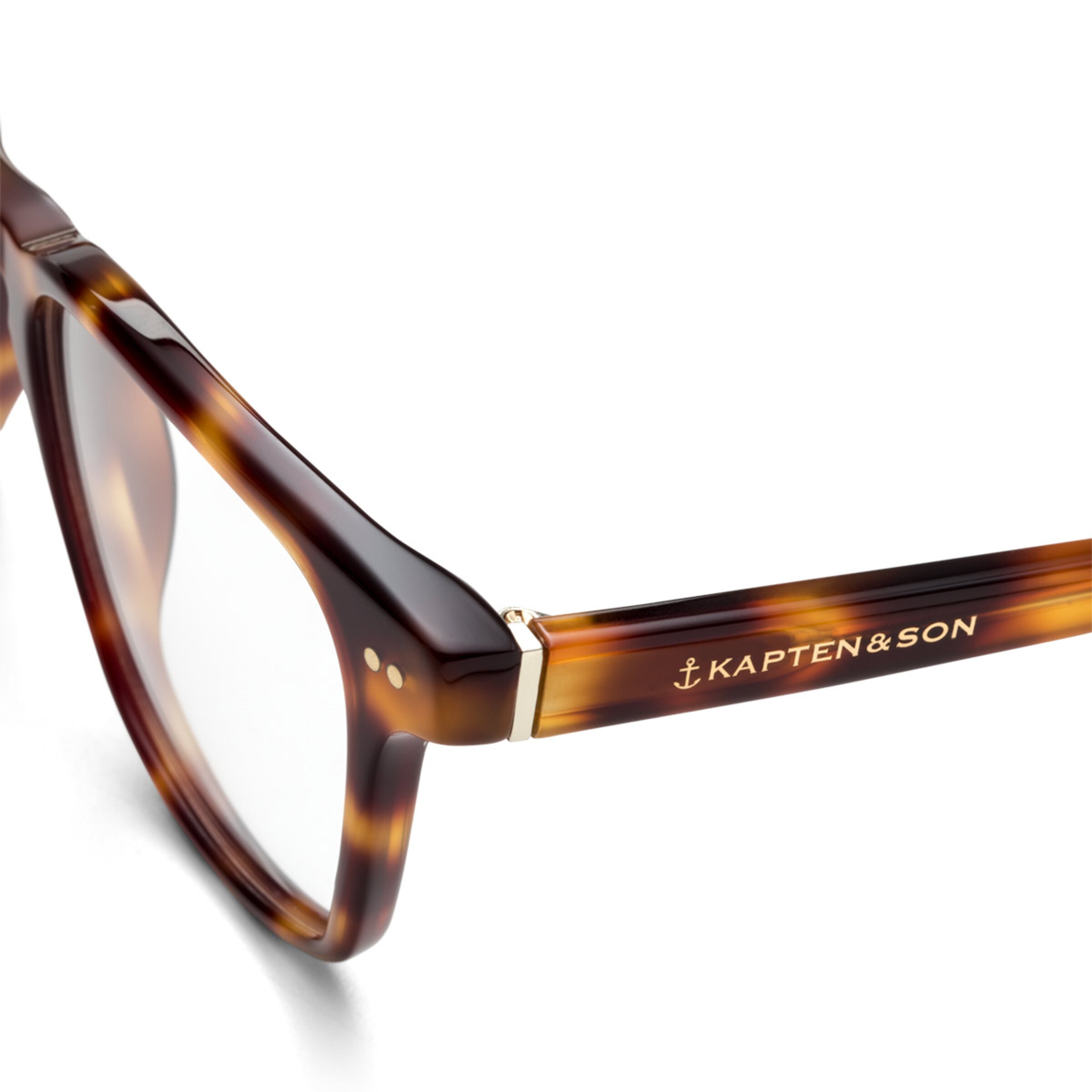 Tortue Carlton Shine avec ordonnance