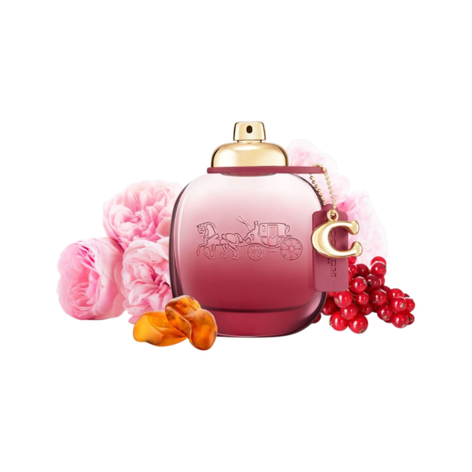 Coach Wild Rose