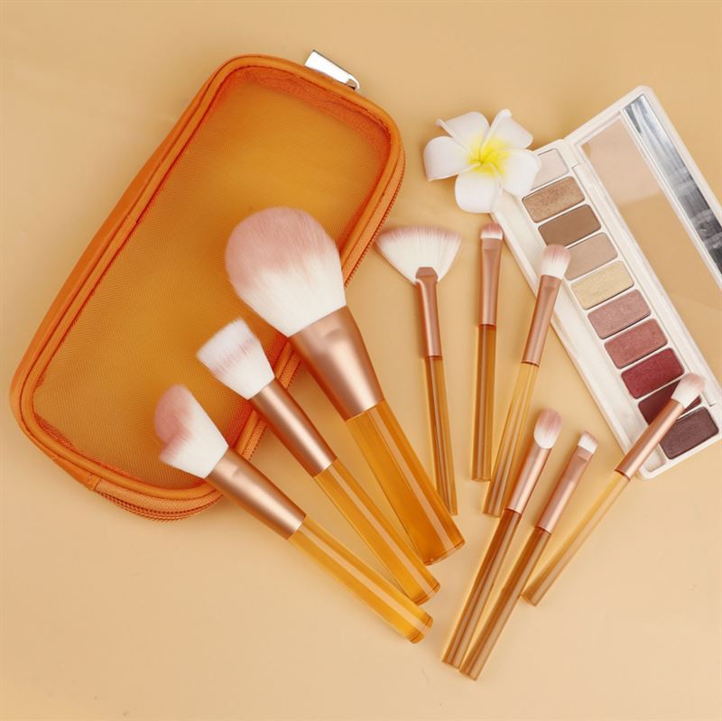 Technique Pro set četkica, prozirni set četkica za savršenu šminku – 1 komad