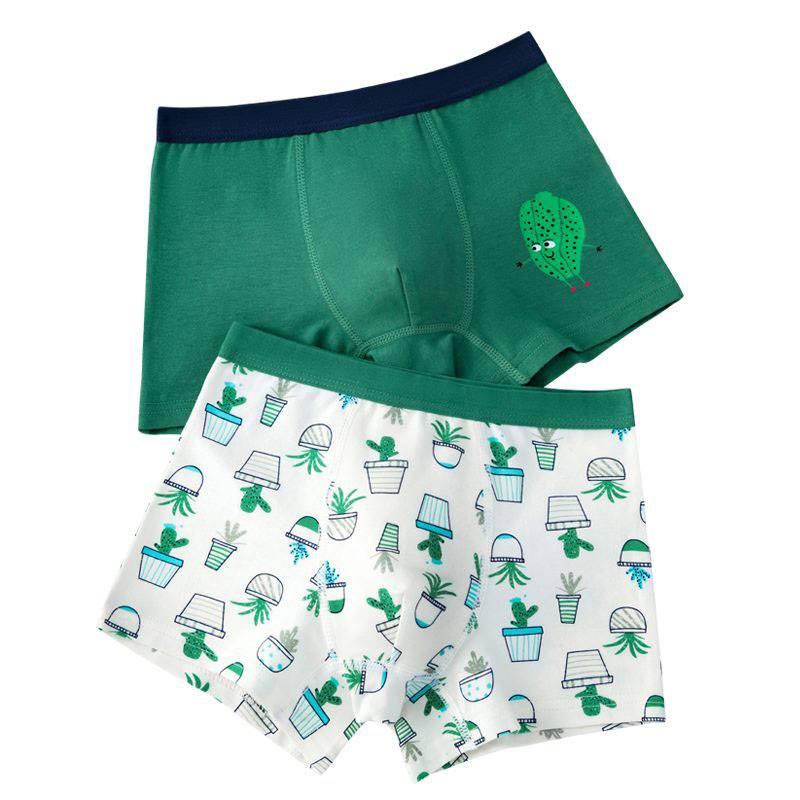 2 calzoncillos de algodón para niño con diseño de cactus, pantalones cortos suaves y transpirables para niños.