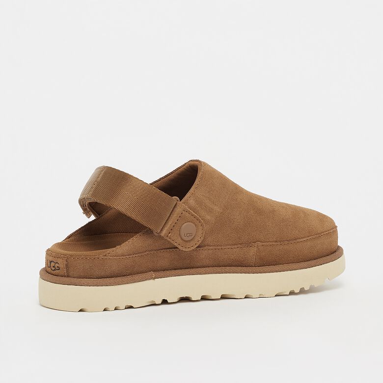 Goldenstar Clog
