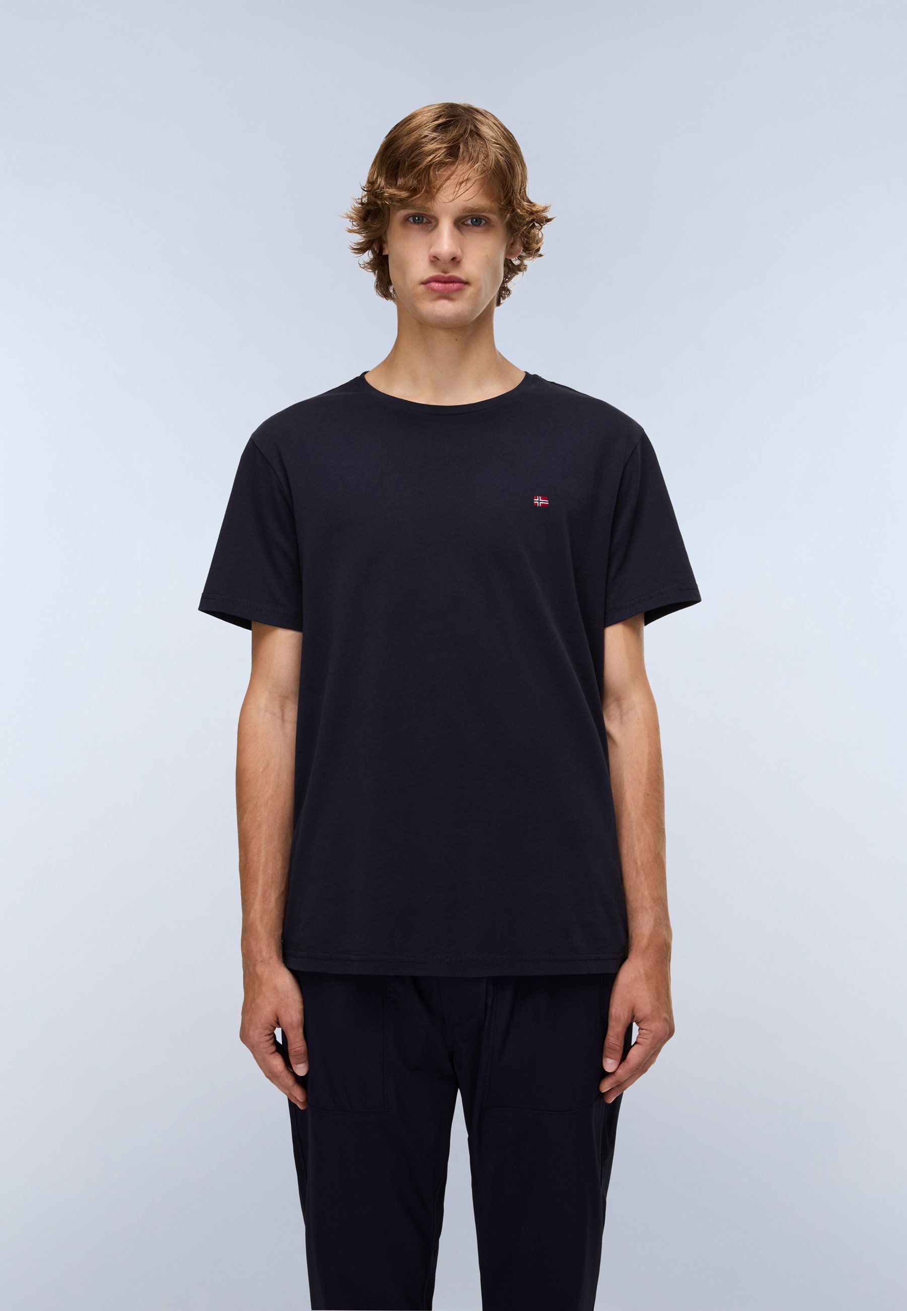 Napapijri HALLS - Basic T-shirt - Marineblauw