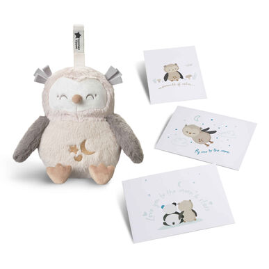 Tommee Tippee -pehmolelu Som e Luz Coruja Ollie -pöllöllä 1 kpl 1 kpl