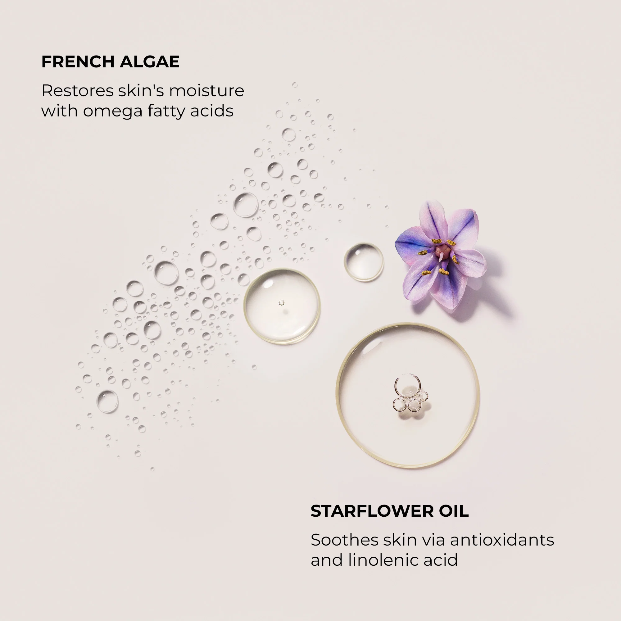 Crema Mani Hand Cream Ambre Vanille - Trattamento Mani