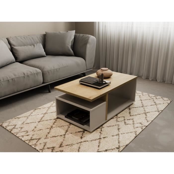 Mesa de centro retangular ACCESS - 3 nichos - Carvalho Hamilton com acabamento branco - L 91,8 x P 50 x A 36 cm - DEMEYERE