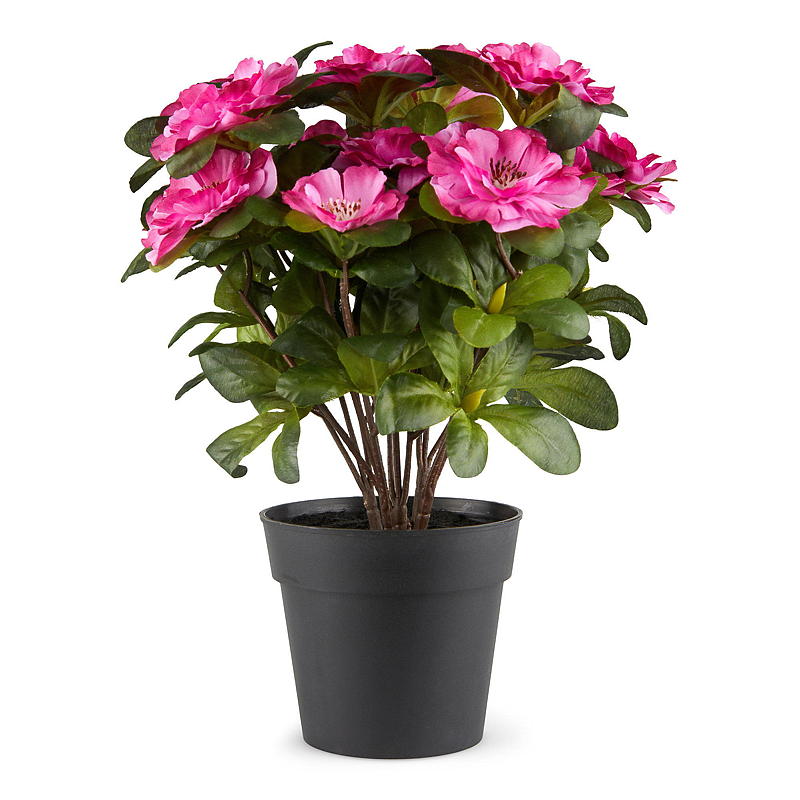 Hem Belgisk azalea 25 cm konstgjord