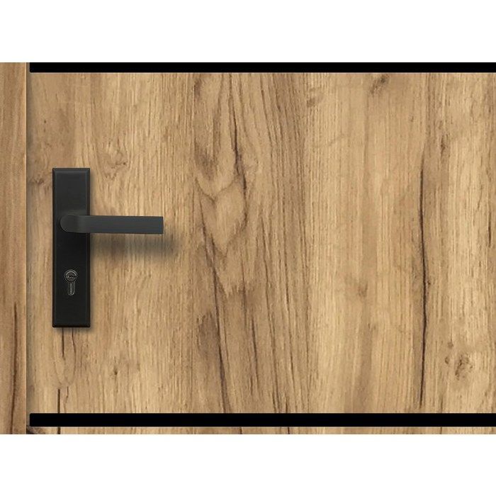 Solid steel and stainless steel front door, 207 cm high x 100 cm wide, oak effect - 55 mm thick - right-hand opening - NAXARA
