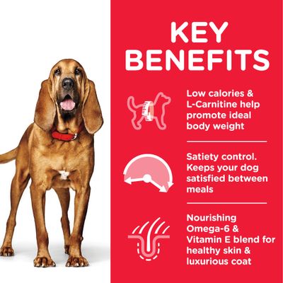 Hill's Science Plan Mature Adult 7+ Light Medium med Kylling