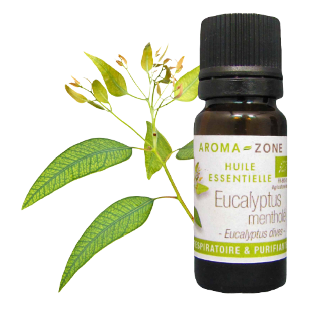 Huile essentielle Eucalyptus mentholé BIO 10ml