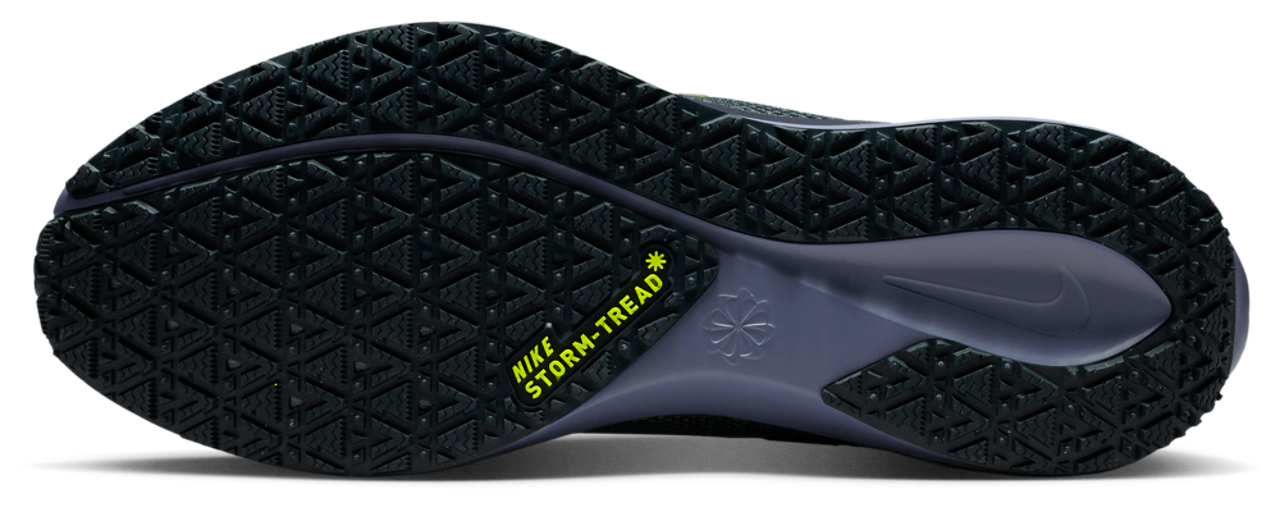 Nike Pegasus 41 Gore-tex