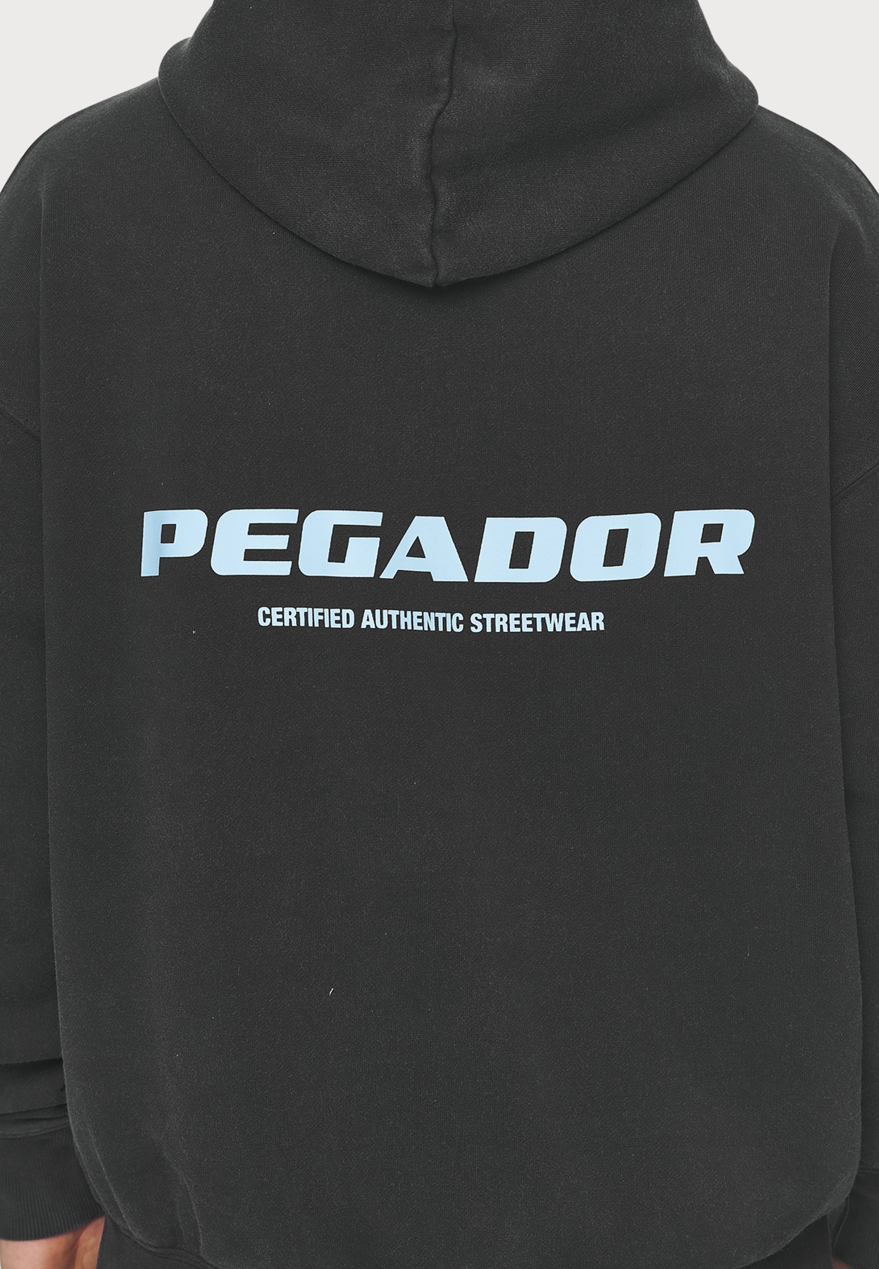 Sweat à capuche Pegador COLNE LOGO - Noir délavé