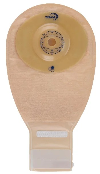 GOUD Gouden Convex Ileum M Op R13-35