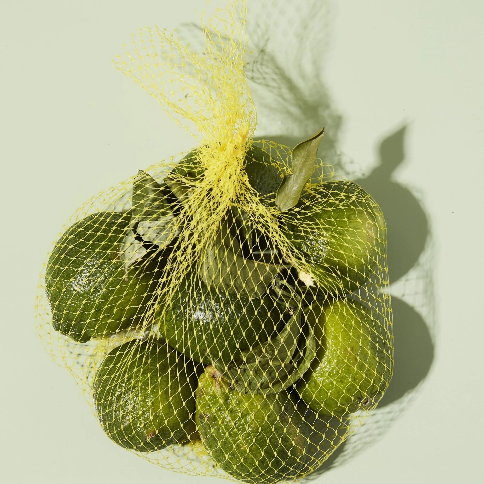 Fragrance Bergamot eau de parfum - Eau de Parfum Unisex, Eau de Parfum