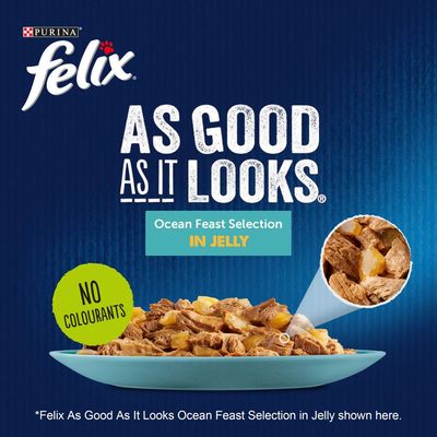 Felix Jumbo balení As Good As It Looks 40 x 100 g