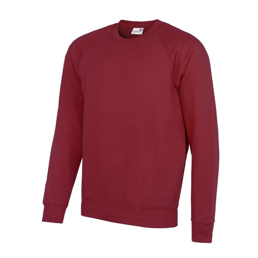  Sudadera Con Mangas Raglan Awdis Academy