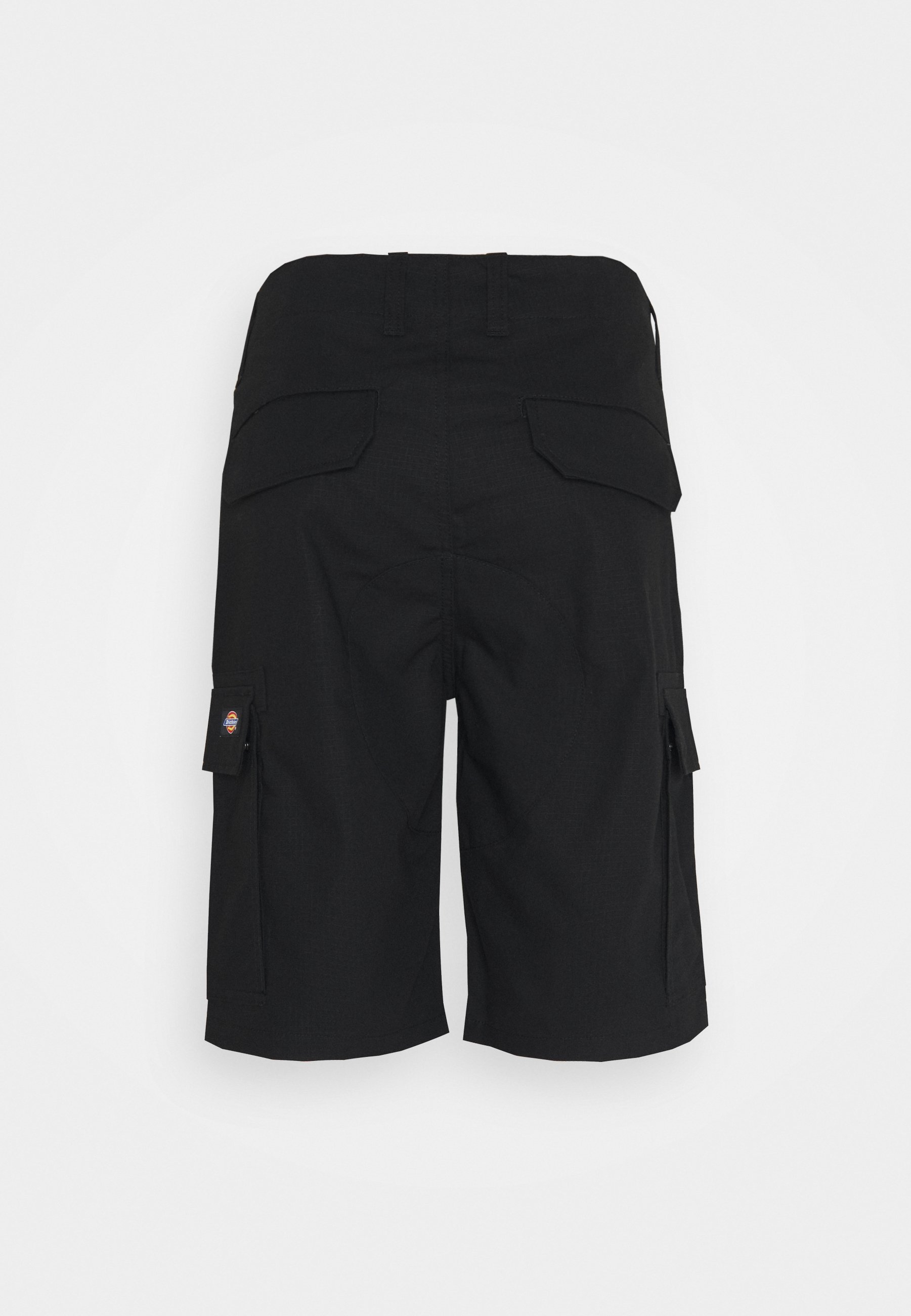 Dickies MILLERVILLE - Shorts - zwart