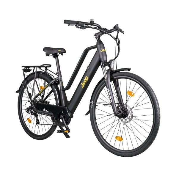 Trekking E-bike TLR 7030