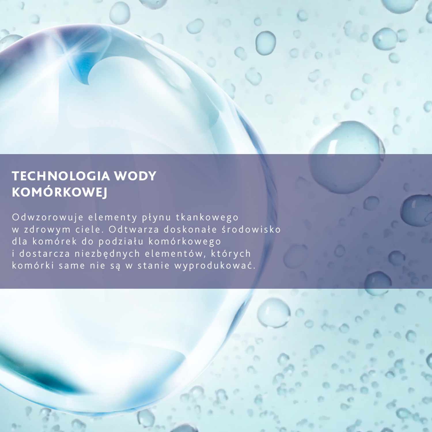 Institut Esthederm Intensiv Hyaluronsyre