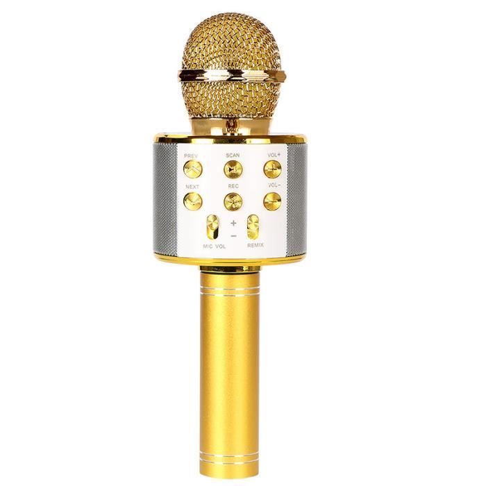 Kabelloses Mikrofon – Ankuka – Karaoke-Mikrofon – LED-Beleuchtung – Bluetooth – Gold