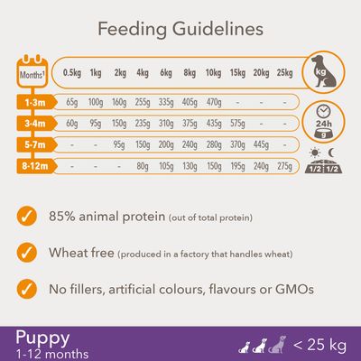 IAMS per Vitality Puppy e cani di piccola e media taglia Junior - Pollo