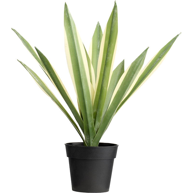 Plante grasse artificielle Maguey de 40 cm pour la maison