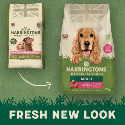 Harringtons Complete Adult Dog - Rich in Salmon & Potato