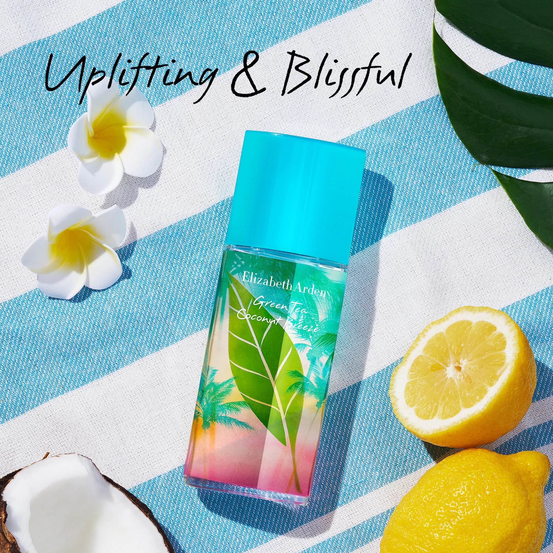 Green Tea Coconut Breeze EDT 50 ml - Elizabeth Arden