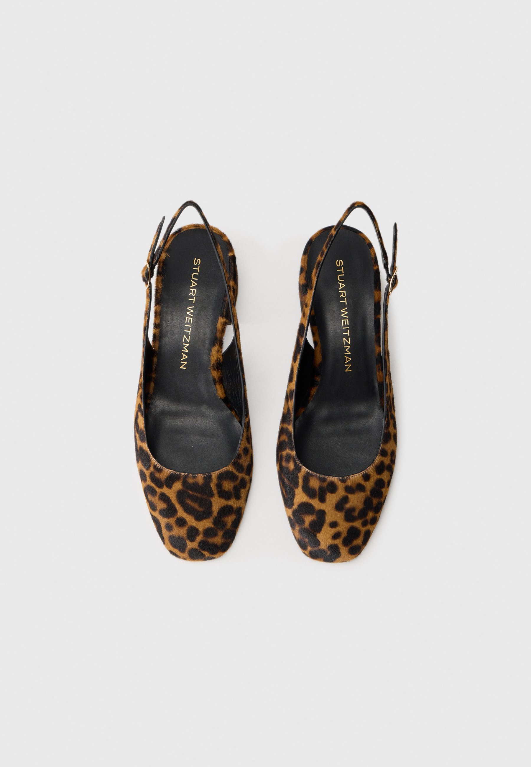Stuart Weitzman MAEVE - Sapatos de salto clássico - clássico
