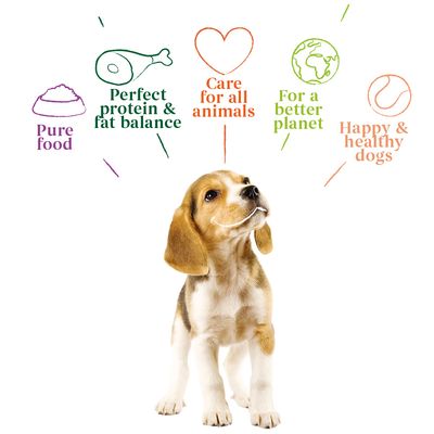 Filhotes orgânicos Yarrah