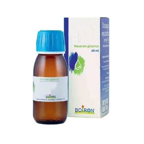 TANDONTSTEKING Vitis Vinifera Glycerine Maceraat 60 ml