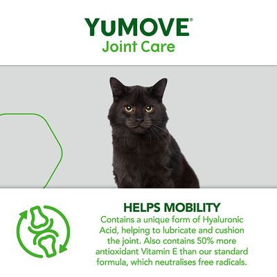 YuMOVE leddpleie for eldre katter