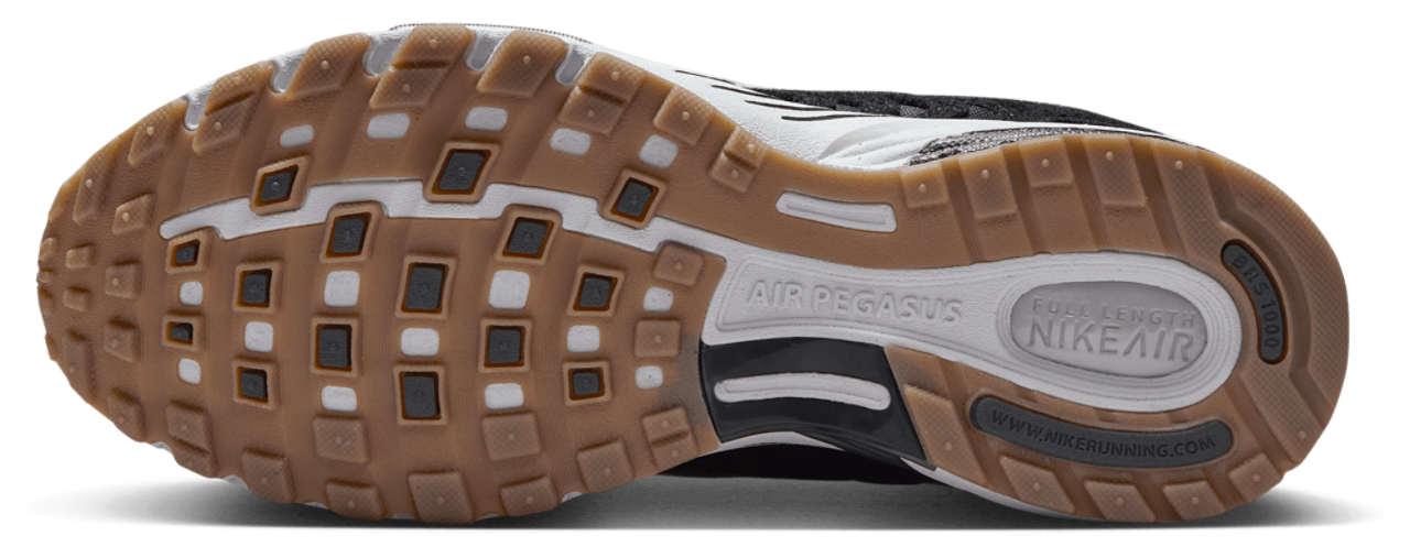 Nike Pegasus 2005
