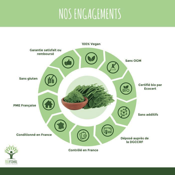 Moringa biologica - Polvere di foglie di Moringa Oleifera 100% - Indice glicemico - Confezionato in Francia - Vegano - 100 g