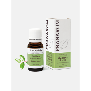 Pranarôm Talvivihreä Fragrantissima eteerinen öljy 10 ml 10 ml