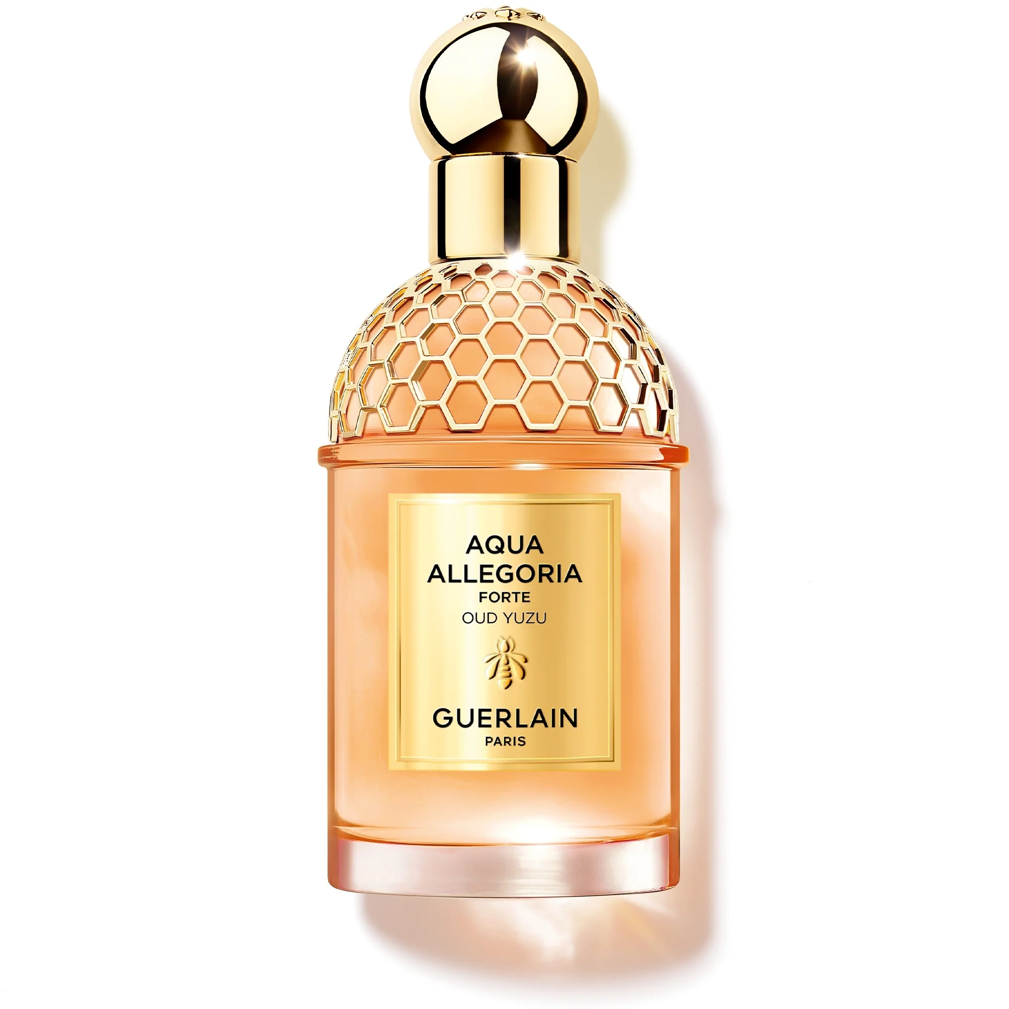 Aqua Allegoria Oud Yuzu Forte - Eau de Parfum