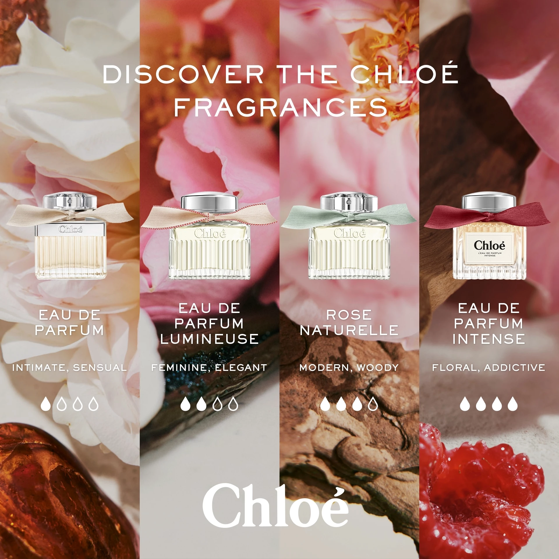 L'EdP Intense 50 ml - Chloé