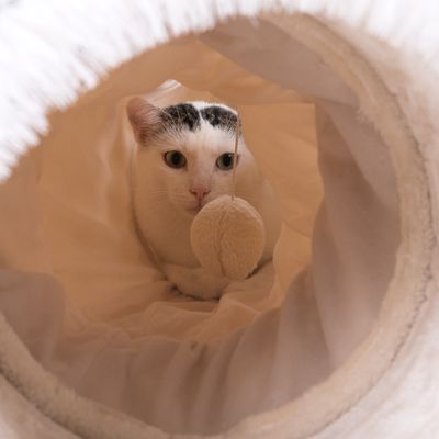 3-i-1 katttunnel