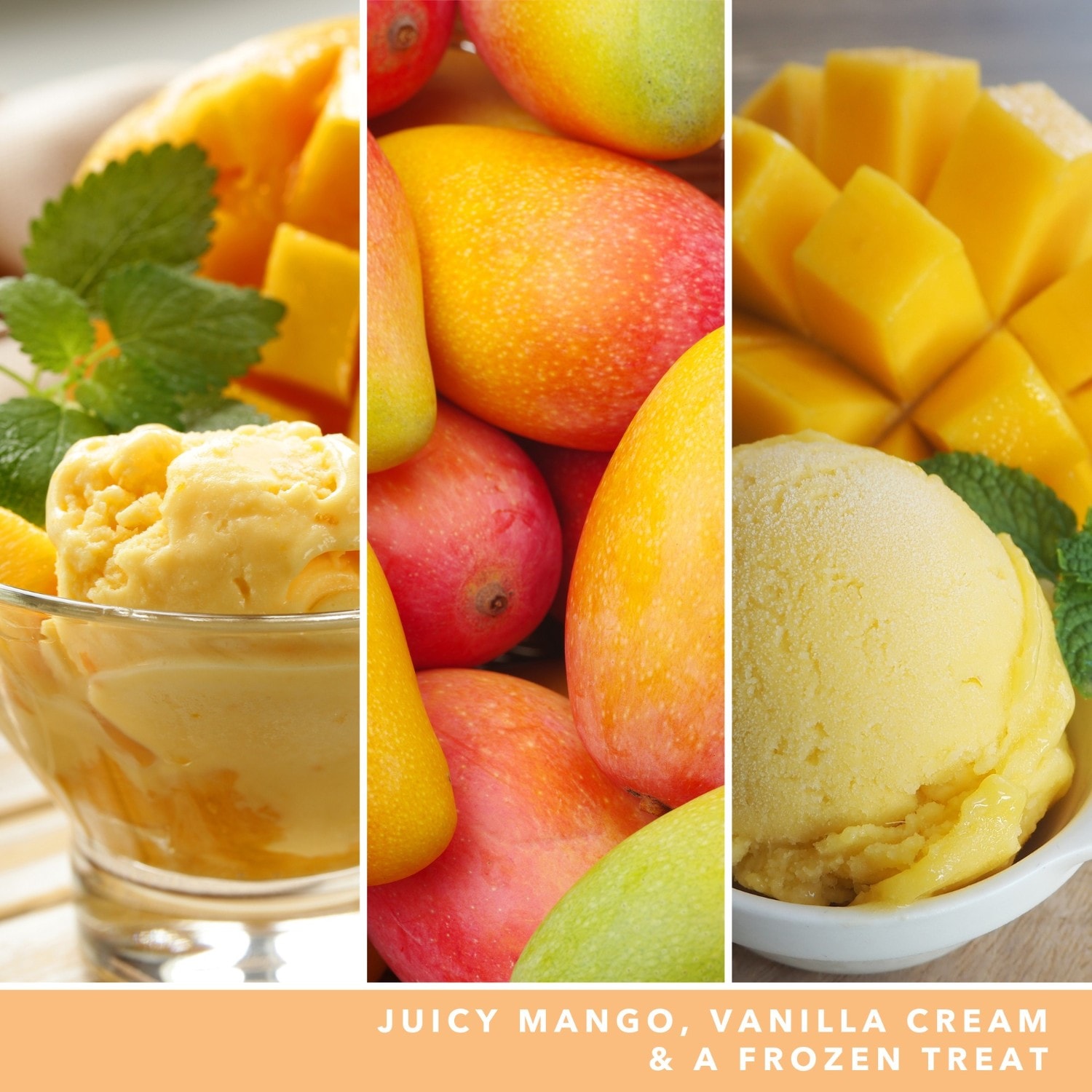 YANKEE CANDLE Grande Jarre Glace à la Mangue