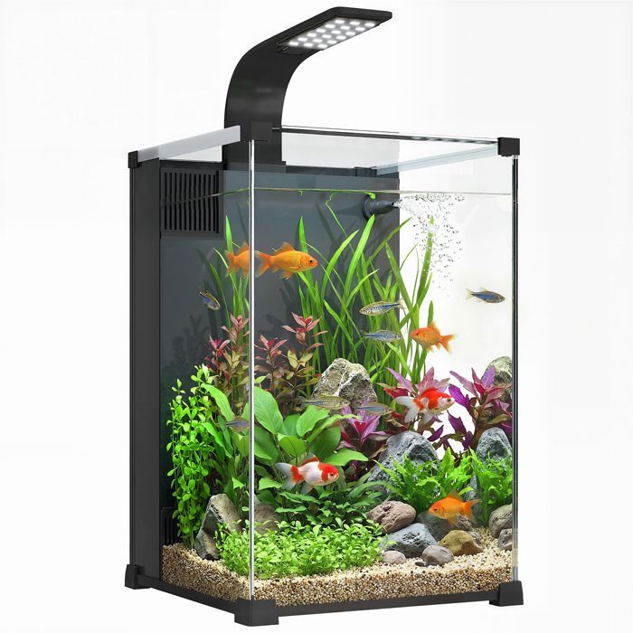 Aquarium - PawHut - 36L, nano aquarium avec filtre intégré, pompe 5W et éclairage LED - verre trempé - 30x30x45cm - noir