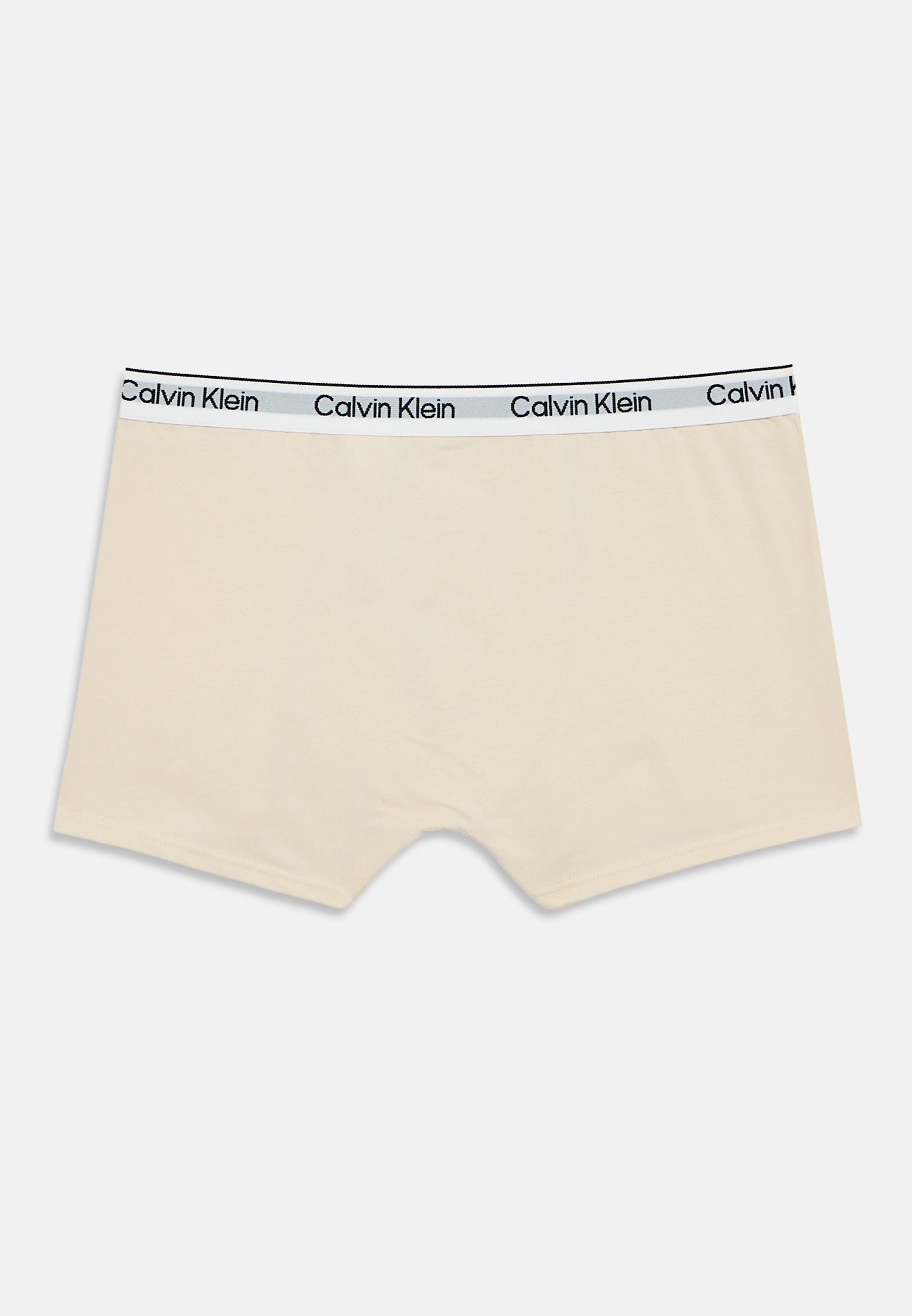 Calvin Klein Ondergoed 3-PACK - Broekjes - tijm/ceder/witkapgrijs