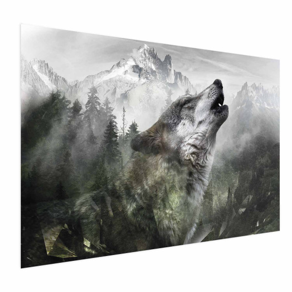 Plakat Wyjący wilk 30x21 cm