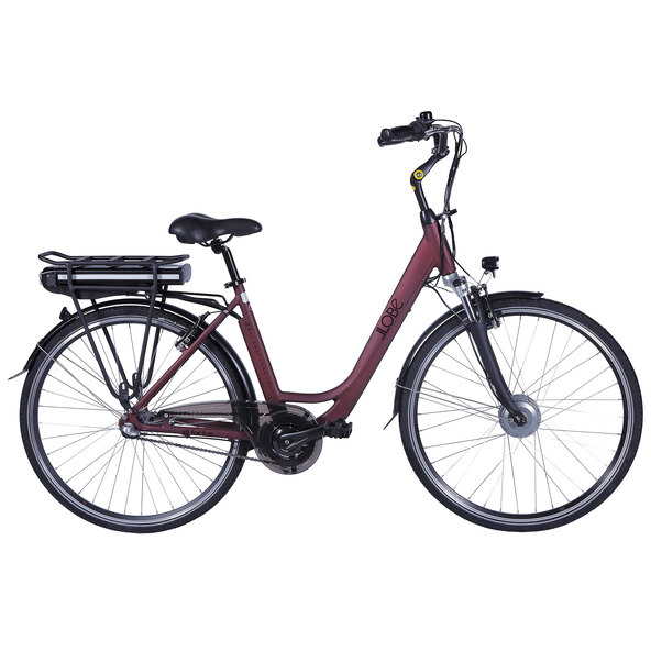 City-E-Bike Metropolitan Joy, Bordeaux-Route, 28 de ani